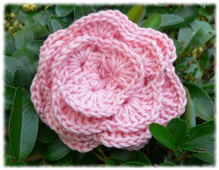rose_crochet_bis.jpg